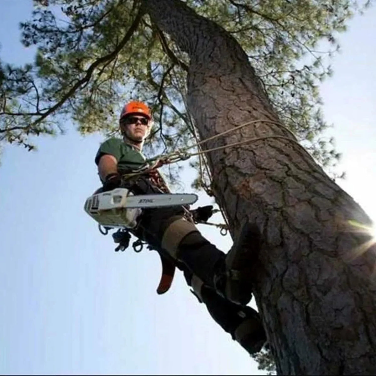 Tree Climbing Gear, Tree Climbing Spikes,with Adjustable Climbing Straps and Steel Core Flip Line Arborist Equipment for Climbers, Hunting, Fruit Picking ,Logging, Climbing Etc