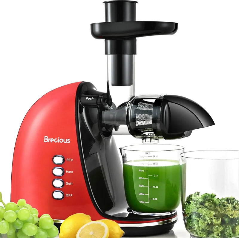 Slow Masticating Juicer,Brecious Cold Press Juicers with 2 Speed Modes & Quiet Motor,Juicers Machines Vegetable and Fruit with Reverse Function,Celery Juicer,BPA-Free,Easy to Clean (Black) Z1075