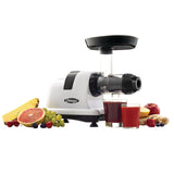 Horizontal Slow Juicer, 150W, 4 Cups