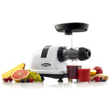 Horizontal Slow Juicer, 150W, 4 Cups