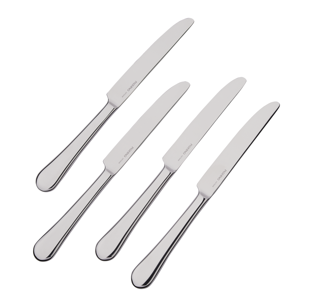 Stainless Steel Dinner Knives, 4-pc