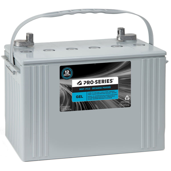 Commercial Group Size 902 6-Volt Deep Cycle Battery N8895